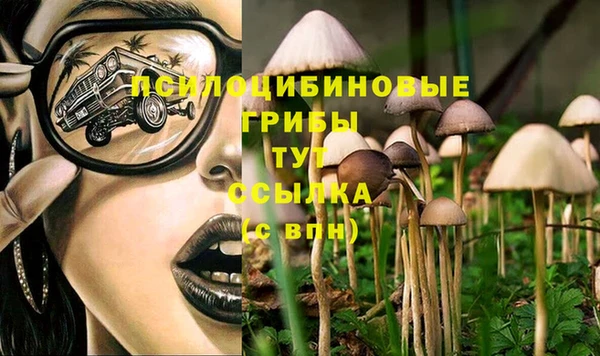 гашик Вязники