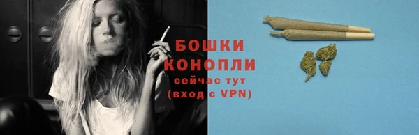 гашик Вязники