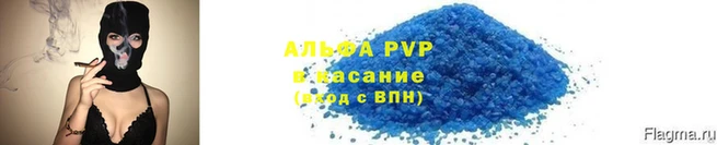 мяу мяу мука Вязьма