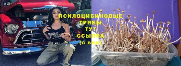 гашик Вязники