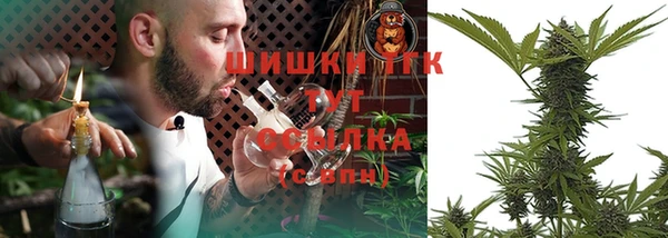 гашик Вязники