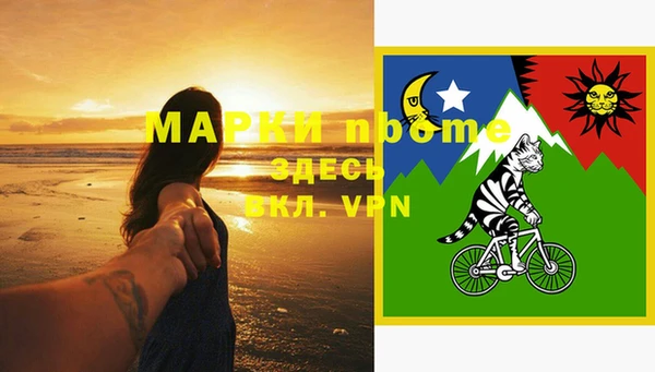 гашик Вязники