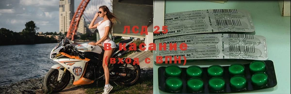 гашик Вязники